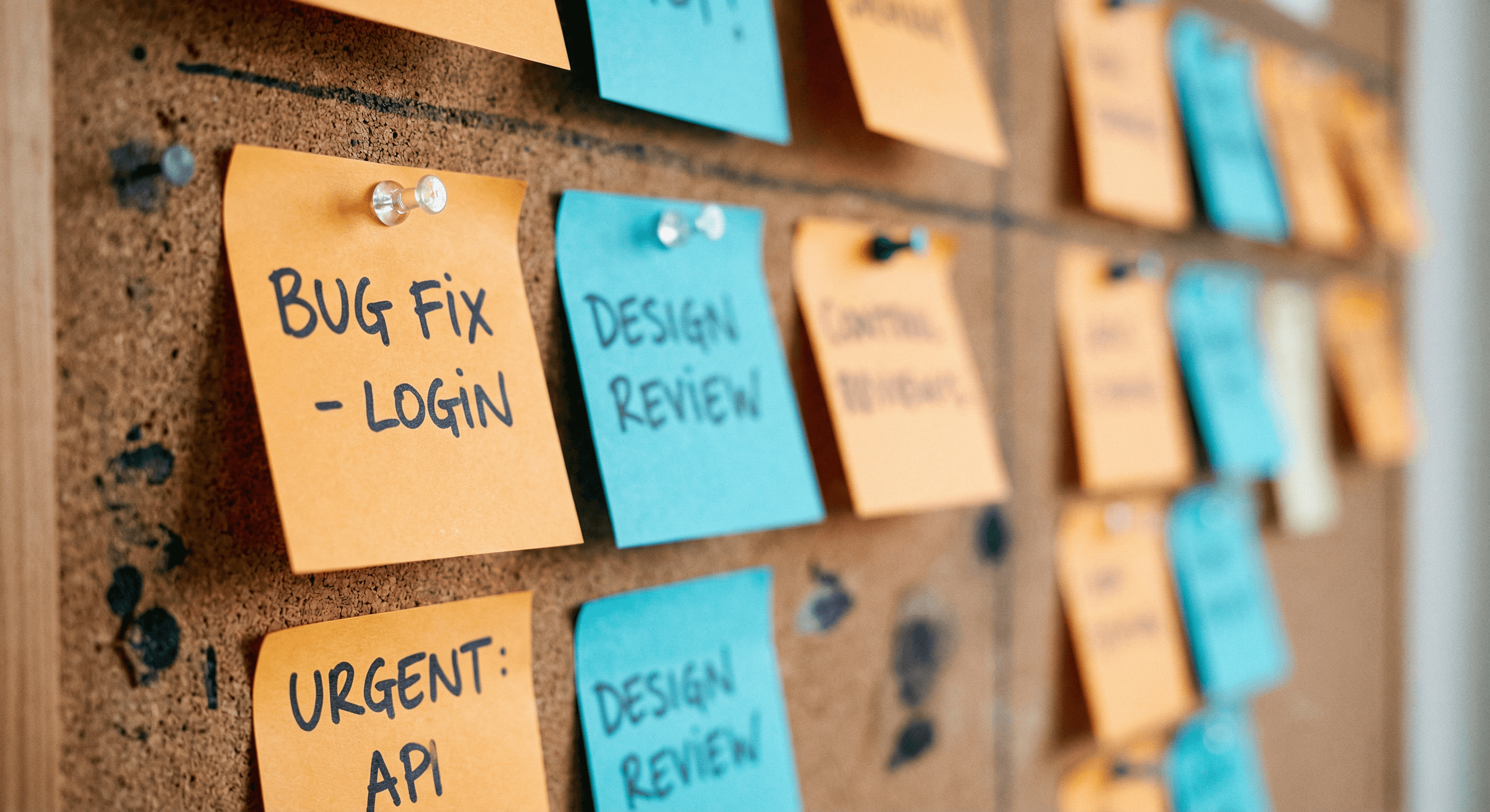 Software Project Planning