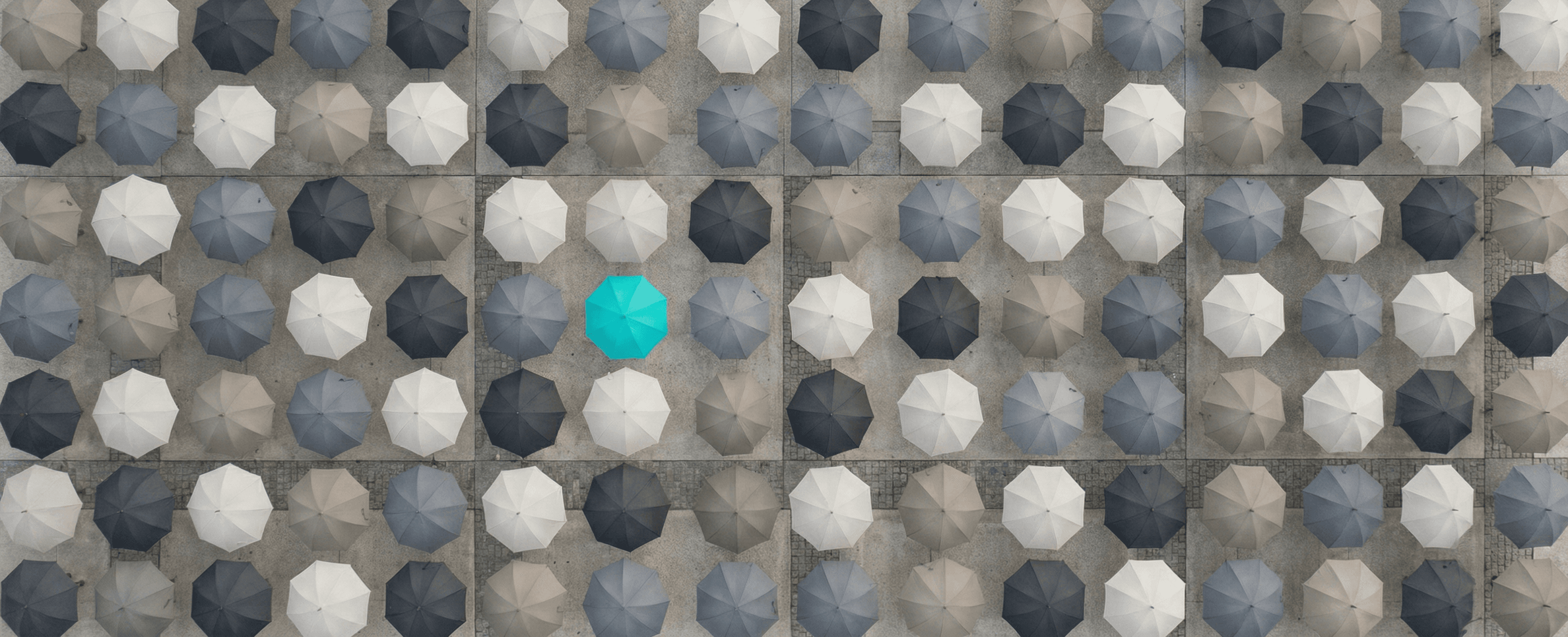 Compelling Value Propositions